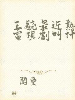 王骁最近热播的电视剧叫什么