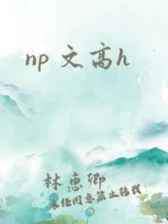 np 文高h
