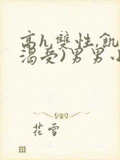 高h,双性,饥渴受)男男小说