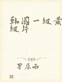 韩国一级黄色一级片