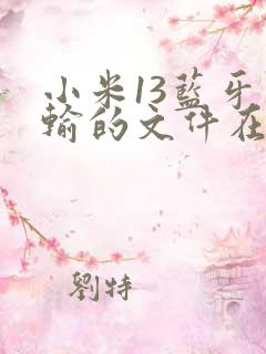 小米13蓝牙传输的文件在哪里