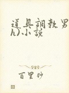 道具调教男男(h)小说