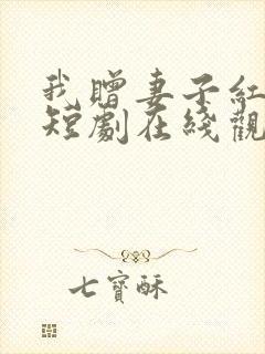 我赠妻子红缨枪短剧在线观看