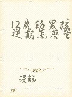 12岁的男孩叛逆期怎么管教