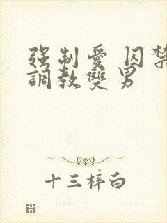 强制爱 囚禁 调教双男