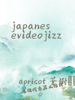 japanesevideojizz