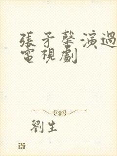 张矛馨演过什么电视剧