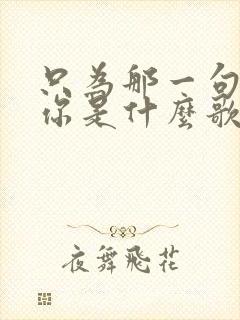 只为那一句我爱你是什么歌的歌词