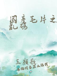 国产毛片之高清乱码