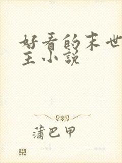 好看的末世双男主小说