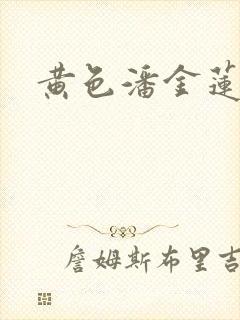 黄色潘金莲一级