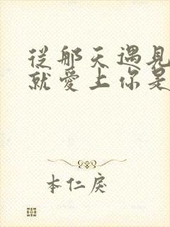 从那天遇见你我就爱上你是什么歌