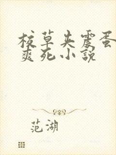 校草夹震蛋上课爽死小说