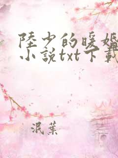 陆少的暖婚新妻小说txt下载全集