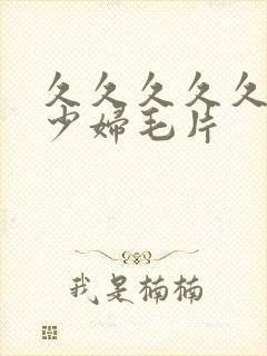 久久久久久久黄少妇毛片