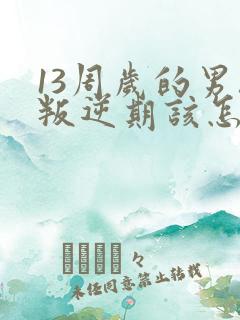 13周岁的男孩叛逆期该怎么办