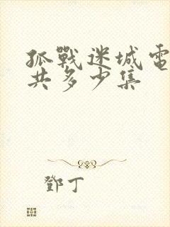 孤战迷城电视剧共多少集