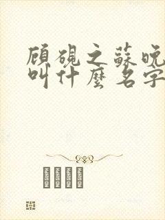 顾砚之苏晚小说叫什么名字