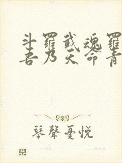 斗罗武魂罗三炮吾乃天命青龙