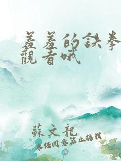 羞羞的铁拳免费观看哦