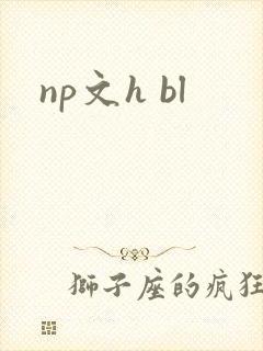np文h bl
