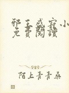 邪王盛宠小毒妃免费阅读