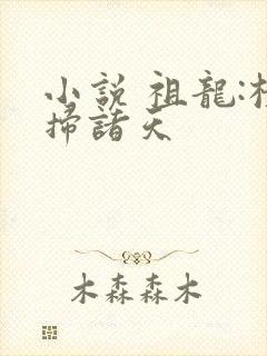 小说 祖龙:横扫诸天