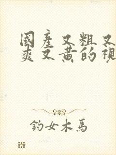 国产又粗又猛又爽又黄的视频先