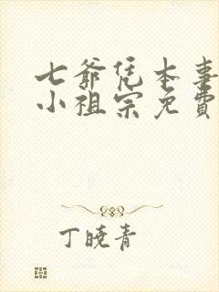 七爷凭本事拐的小祖宗免费txt全文下载