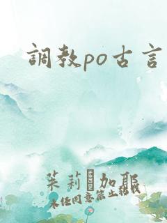调教po古言