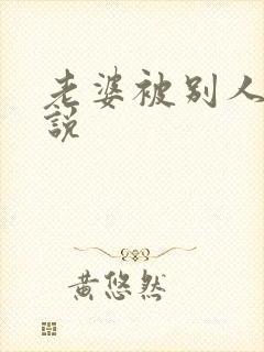 老婆被别人操小说