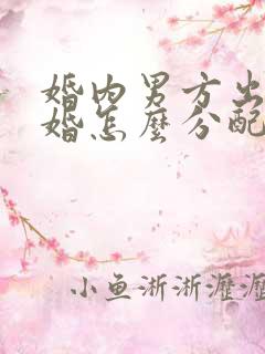 婚内男方出轨离婚怎么分配财产