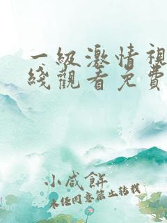 一级激情视频在线观看免费