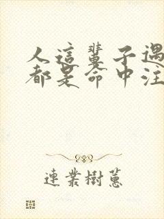 人这辈子遇见谁都是命中注定