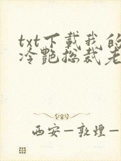 txt下载我的冷艳总裁老婆