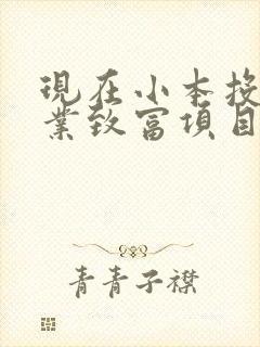 现在小本投资创业致富项目有哪些