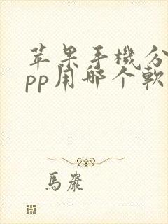 苹果手机分身app用哪个软件