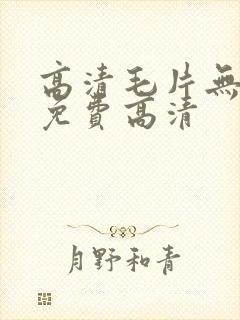高清毛片无遮挡免费高清