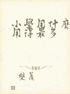 小学用什么本子用得最多