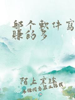 那个软件写小说赚的多