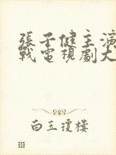 张子健主演的谍战电视剧大全