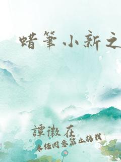 蜡笔小新之忍者