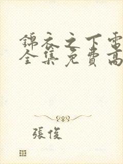 锦衣之下电视剧全集免费高清