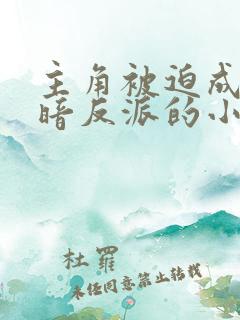 主角被迫成为黑暗反派的小说