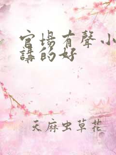 官场有声小说谁讲的好