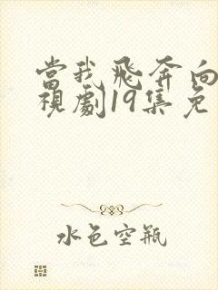 当我飞奔向你电视剧19集免费观看