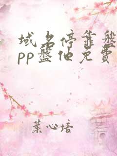 域名停靠盘他app盘他免费版