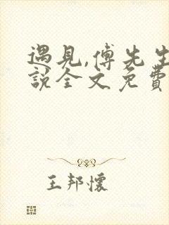 遇见,傅先生小说全文免费阅读