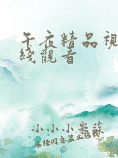 午夜精品视频在线观看