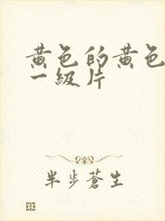 黄色的黄色录像一级片